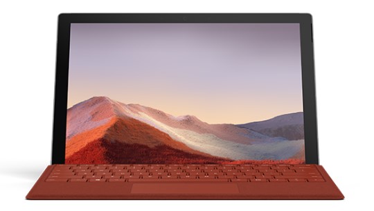 祁门清洁和维护 Surface